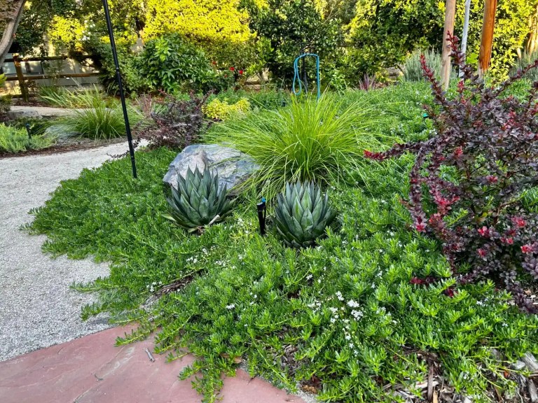 Sustainable Garden Design